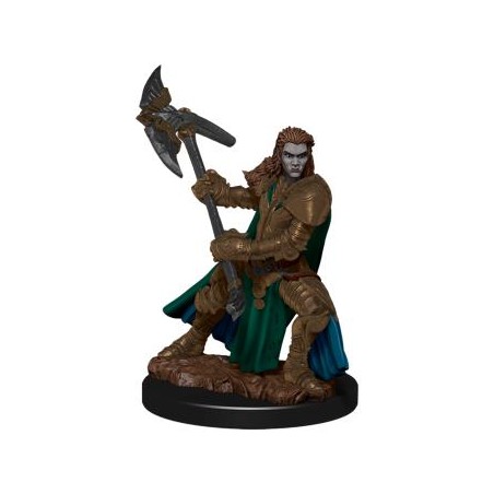 D&D Icons of the Realms...