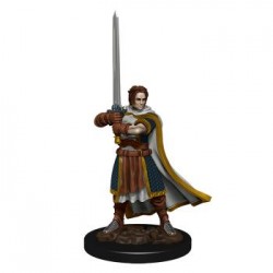 D&D Icons of the Realms...