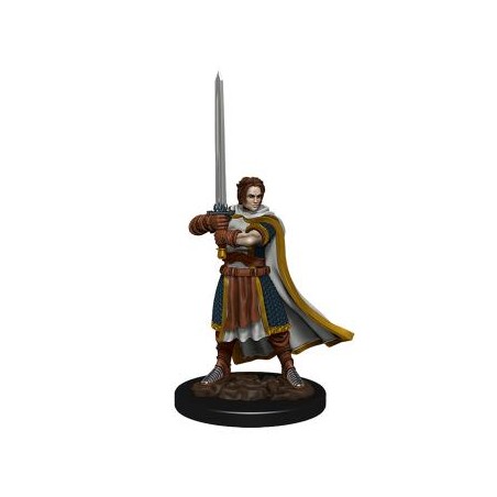 D&D Icons of the Realms...