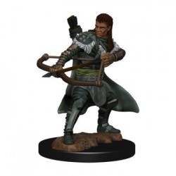 D&D Icons of the Realms...