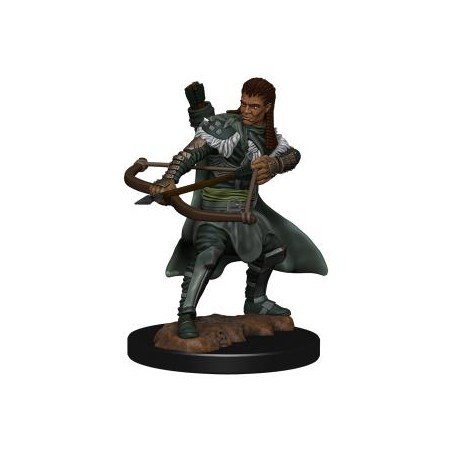 D&D Icons of the Realms...