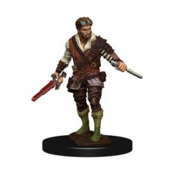 D&D Icons of the Realms...