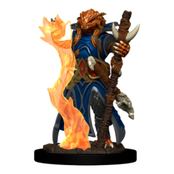 D&D Icons of the Realms...