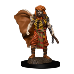 D&D Icons of the Realms...