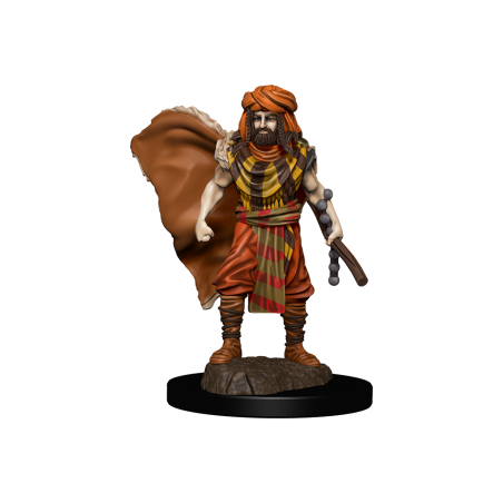 D&D Icons of the Realms...