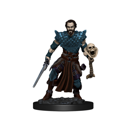D&D Icons of the Realms...