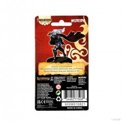 Pathfinder Battles: Premium...