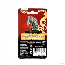 Pathfinder Battles: Premium...