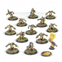 Blood Bowl: Equipo de...