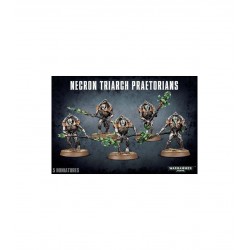 Warhammer 40.000: Necrones....