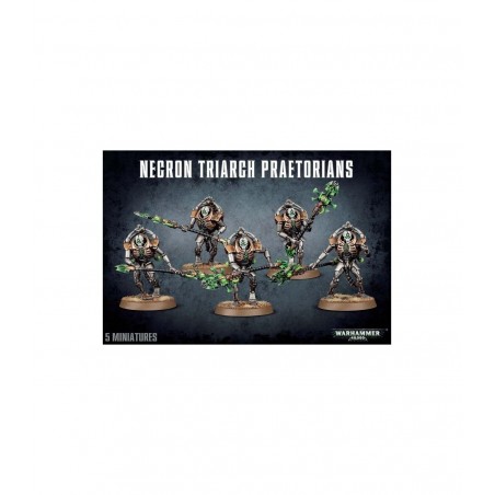 Warhammer 40.000: Necrones....