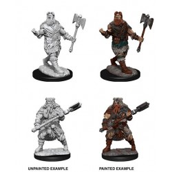 D&D Nolzur's Marvelous...