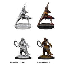 D&D Nolzur's Marvelous...