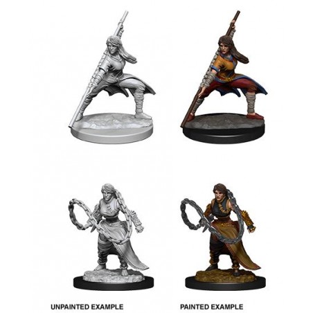 D&D Nolzur's Marvelous...