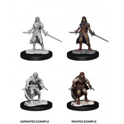 D&D Nolzur's Marvelous...