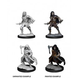 D&D Nolzur's Marvelous...
