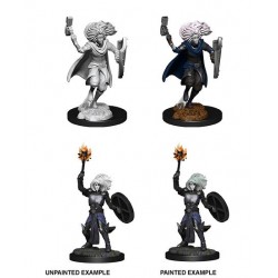 D&D Nolzur's Marvelous...