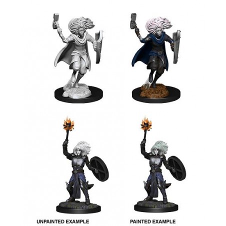 D&D Nolzur's Marvelous...