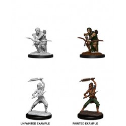 D&D Nolzur's Marvelous...