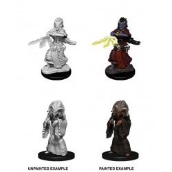D&D Nolzur's Marvelous...