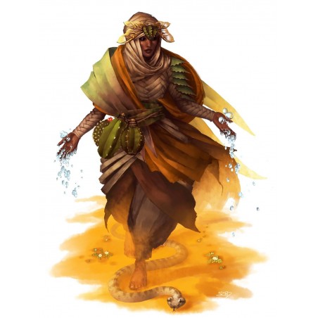 Castles & Crusades: Players...