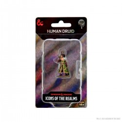D&D Icons of the Realms...