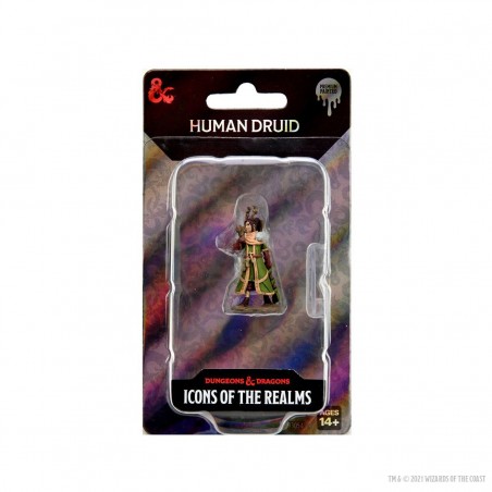 D&D Icons of the Realms...