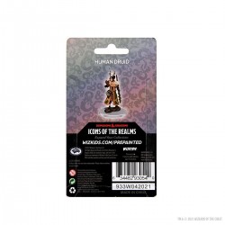 D&D Icons of the Realms...