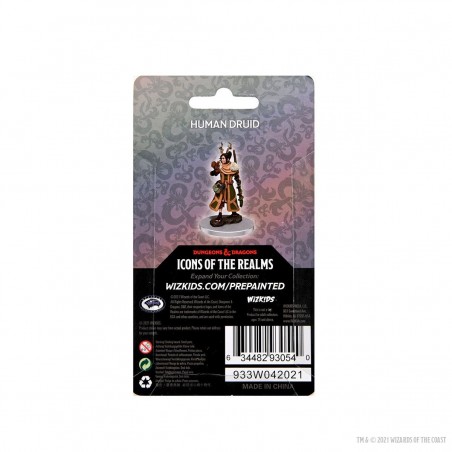 D&D Icons of the Realms...