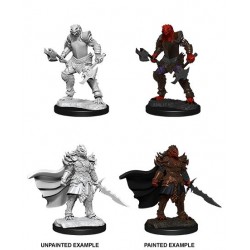 D&D Nolzur's Marvelous...
