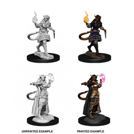 D&D Nolzur's Marvelous...