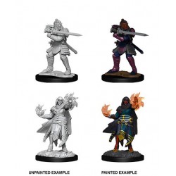 D&D Nolzur's Marvelous...