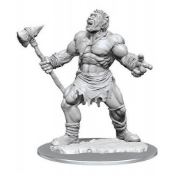 D&D Nolzur's Marvelous...
