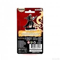 Pathfinder Battles: Premium...