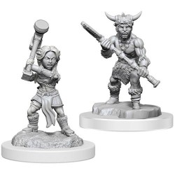 D&D Nolzur's Marvelous...