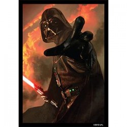 50 fundas ilustradas Star...