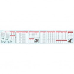 Dragonflight (5E) DM screen