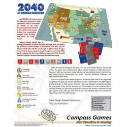 2040: An American Insurgency