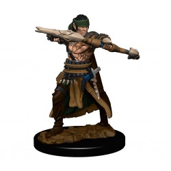 Pathfinder Battles: Premium...