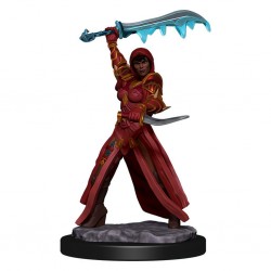 D&D Icons of the Realms...