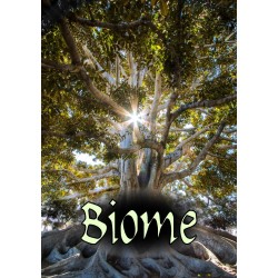 Biome RPG