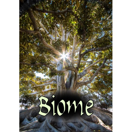 Biome RPG