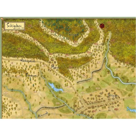Battles of the Sengoku...