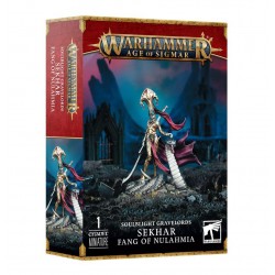 Warhammer: Soulblight...