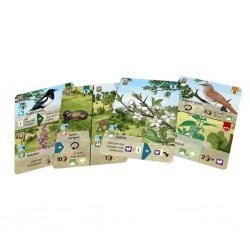 Forest Shuffle: Linde del...