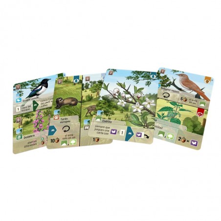 Forest Shuffle: Linde del...