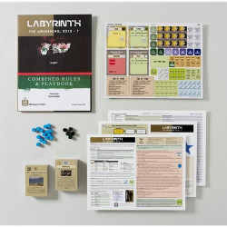 Labyrinth: The Awakening...