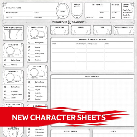 Dungeons & Dragons:...