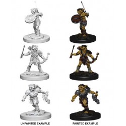 D&D Nolzur's Marvelous...