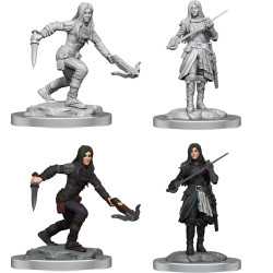 D&D Nolzur's Marvelous...